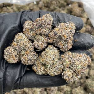 Candy Rainbows Indoors | Candy Rainbows Indoors Weed Strain