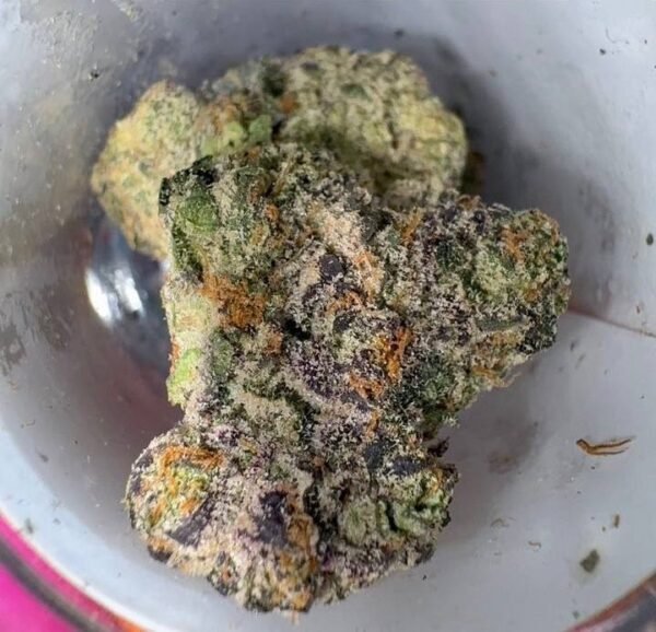 Jungle Boys 1/8ths Weed | Jungle Boys 3.5g Weed