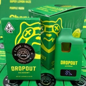 Dropout Academy 3g Shatter | Hash Blend Disposable