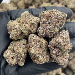 Rainbow Skittlez Exotics | Rainbow Skittlez Exotics Weed