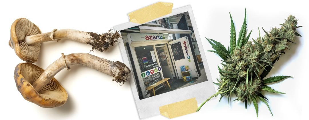 Cannabis Delivery Trends 2026: The Meteoric Rise of Same-Day Marijuana Delivery Services in Toronto