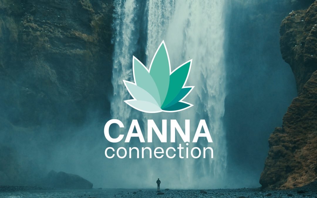 How to Buy Cannabis Online in Colorado