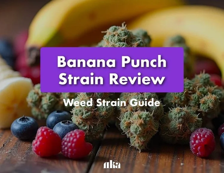 Banana Punch Strain Review: Comprehensive Weed Strain Guide
