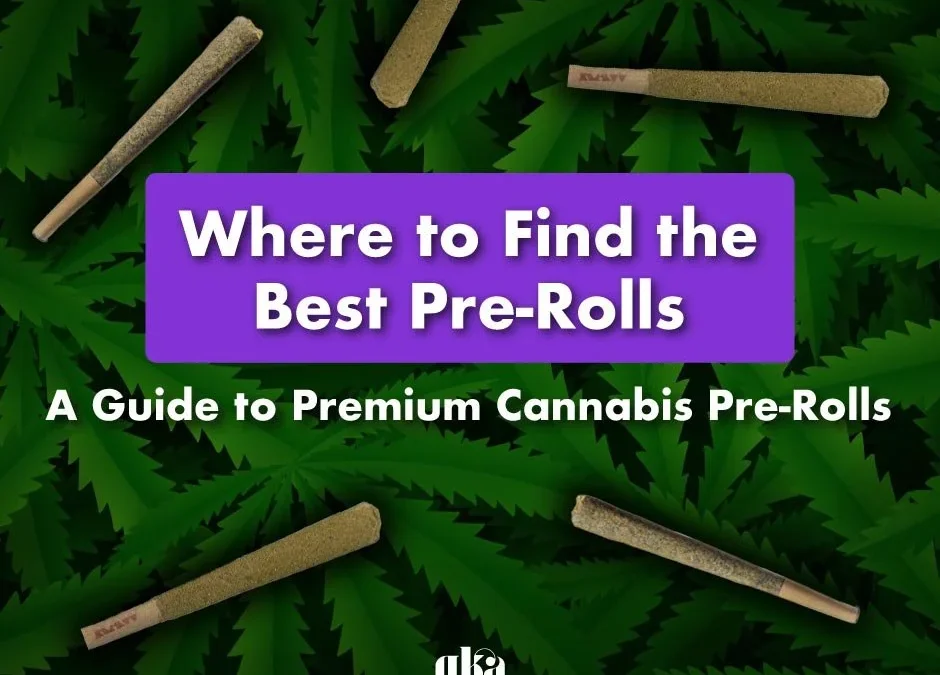 Where to Find the Best Pre-Rolls: A Comprehensive Guide to Premium Cannabis Pre-Rolls