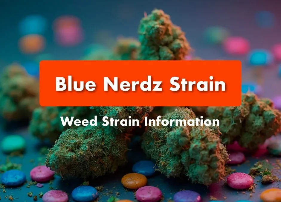 Blue Nerdz Strain Review: Comprehensive Weed Strain Information