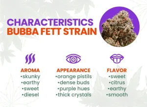 Bubba Fett Strain Review | Bubba Fett Weed Strain