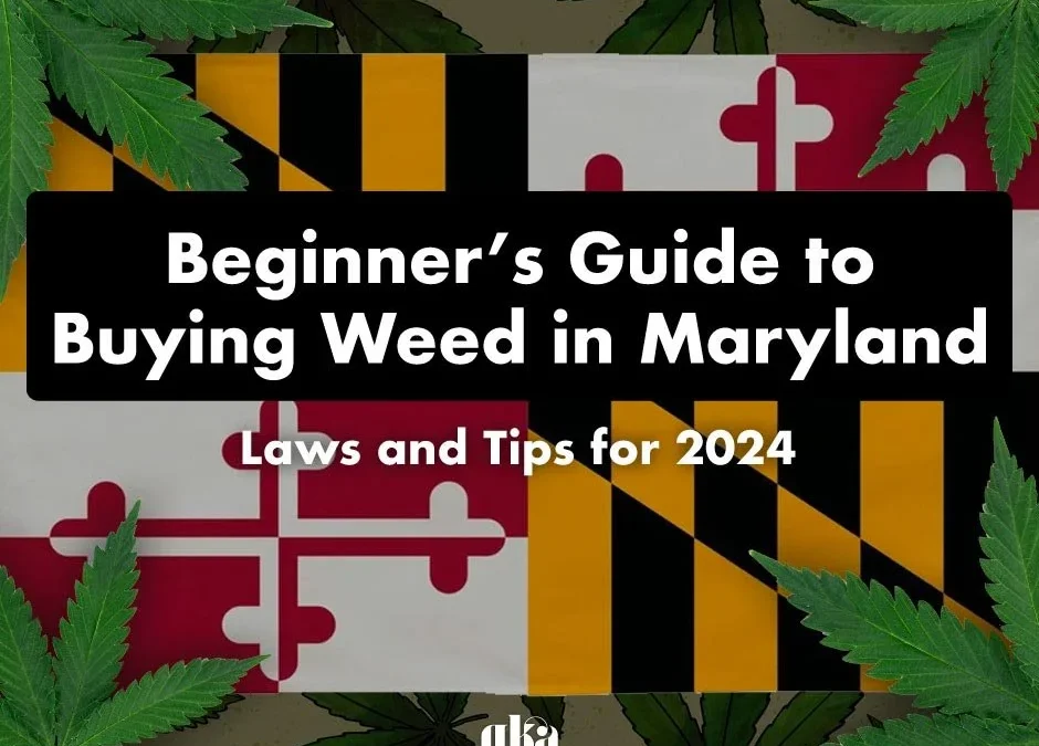 The Ultimate Beginner’s Guide to Buying Weed in Maryland: Comprehensive Laws, Regulations, and Expert Tips for 2026