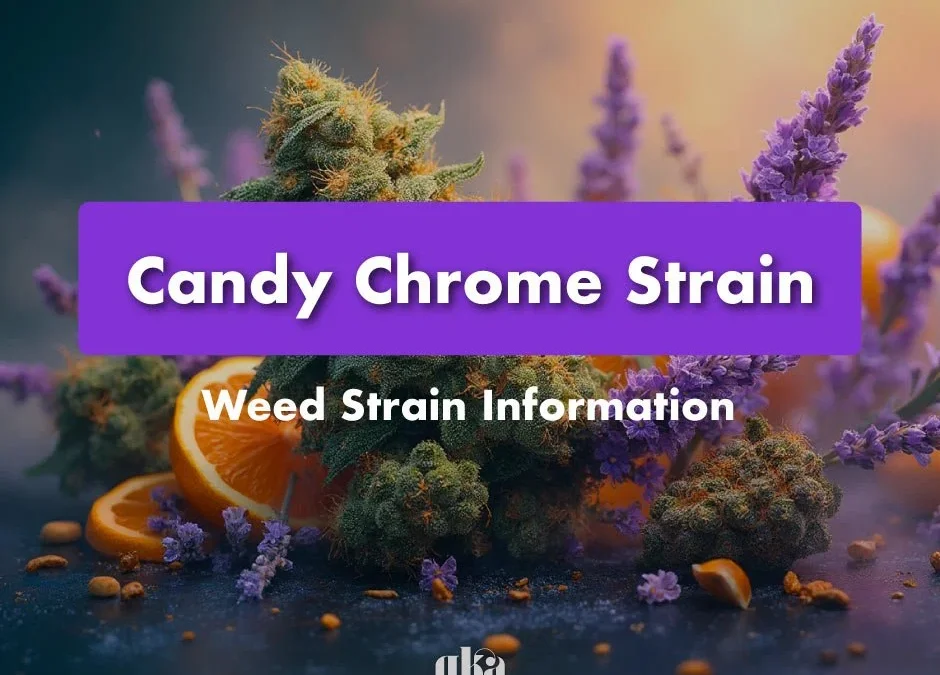 Candy Chrome Strain Review: Comprehensive Weed Strain Information