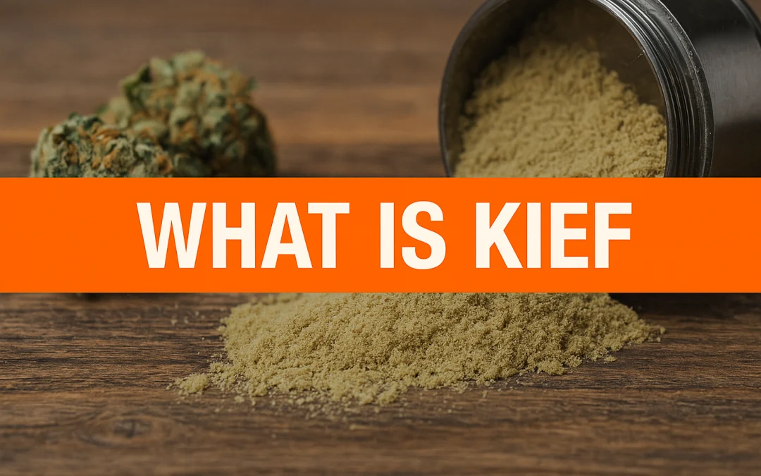 What Is Kief? Comprehensive Beginner’s Guide To Benefits, Uses, And More