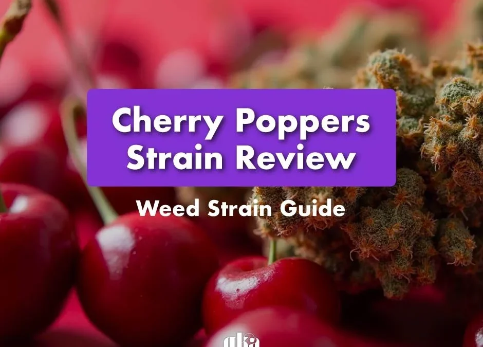 Cherry Poppers Strain Review: Comprehensive Weed Strain Guide