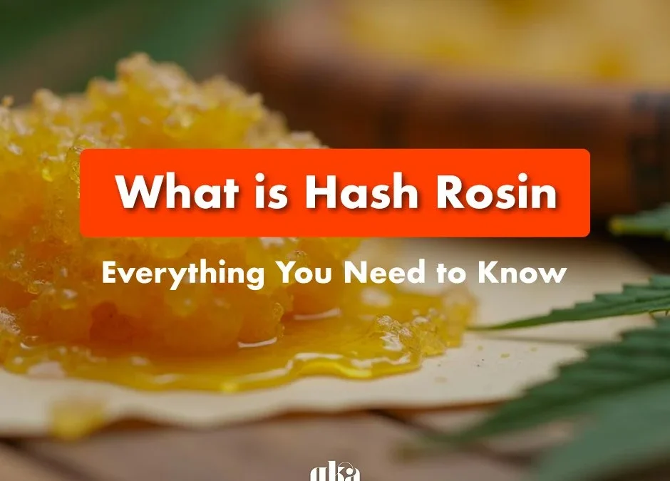 What Is Hash Rosin Review: Your Complete Expert Guide