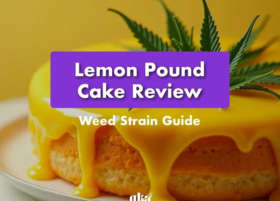 Lemon Pound Cake Cannabis Strain Review: Comprehensive Guide from Canna Center Dispensary