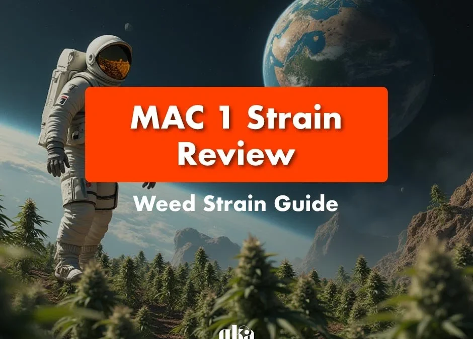 MAC 1 Strain Review: Comprehensive Weed Strain Guide