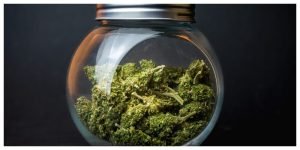 Stress Free Tips for Ordering Weed Online This Holiday Season