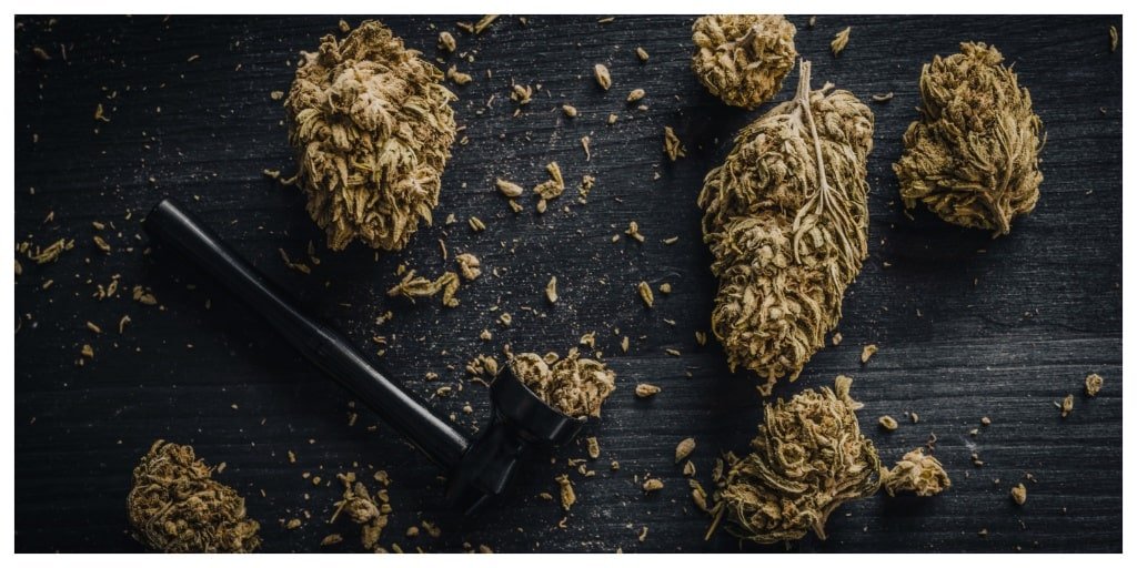 Smoking Aged Cannabis: How Older Bud Changes Over Time