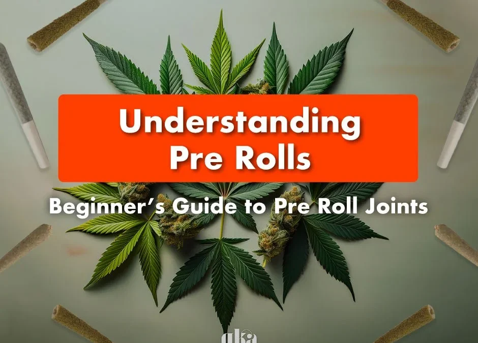 Understanding Pre-Rolls: Comprehensive Beginner’s Guide to Pre-Rolled Cannabis Joints
