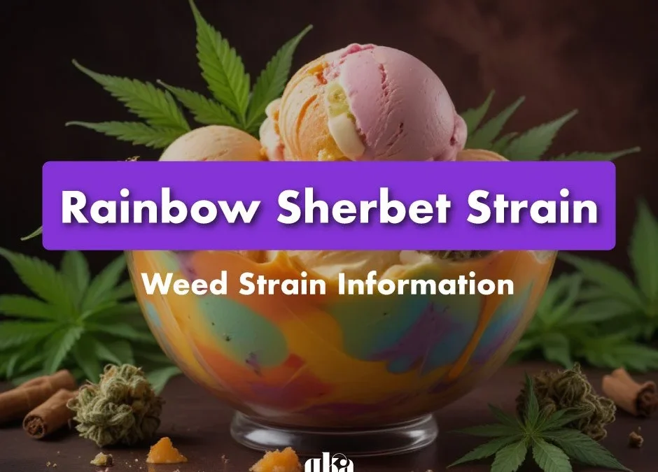 Rainbow Sherbet Strain Review: Comprehensive Weed Strain Information