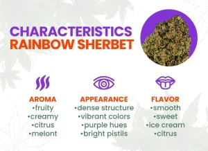 Rainbow Sherbet Strain Review | Rainbow Sherbet Strain