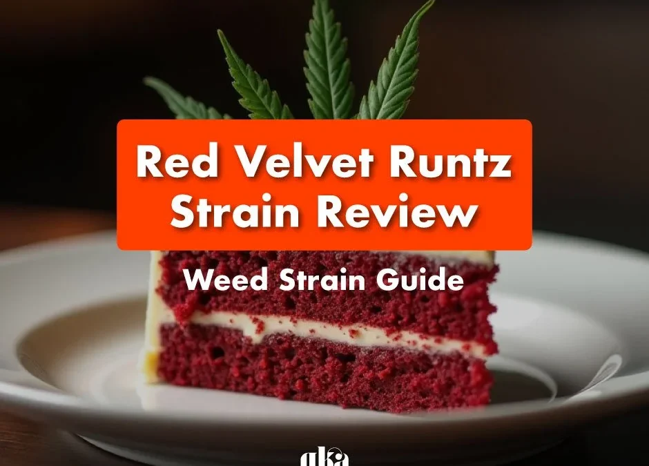 Red Velvet Runtz Strain Review: Comprehensive Weed Strain Guide