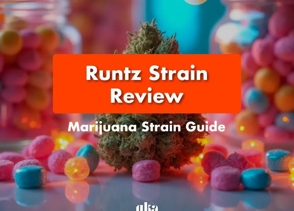 Runtz Strain Review: Comprehensive Marijuana Strain Guide