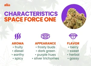 Space Force One Strain Review: Comprehensive Weed Strain Guide