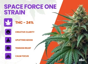 Space Force One Strain Review: Comprehensive Weed Strain Guide