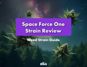 Space Force One Strain Review | Space Force One Strain