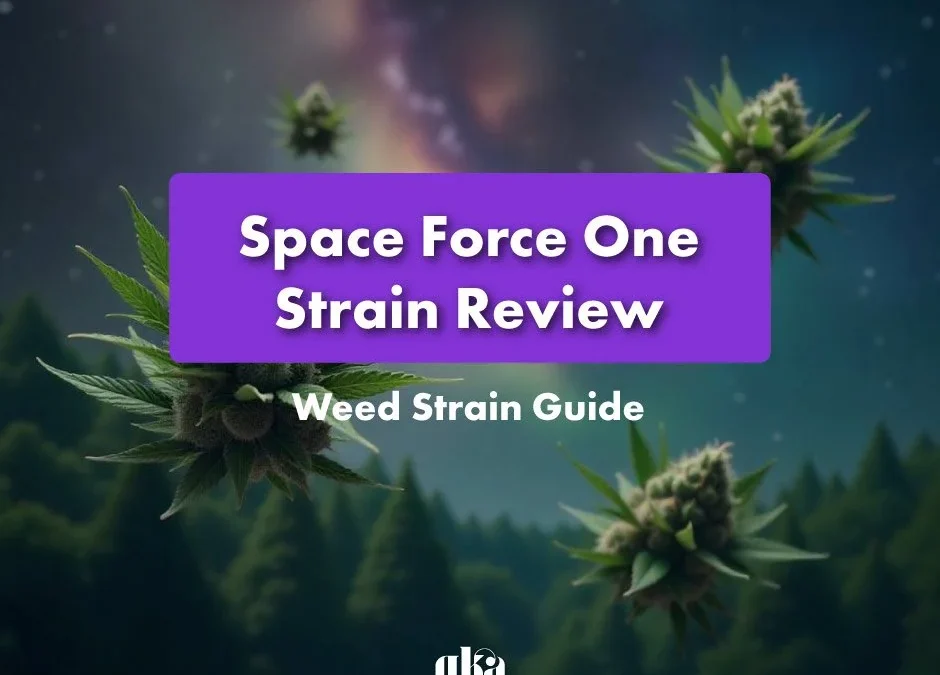 Space Force One Strain Review | Space Force One Strain