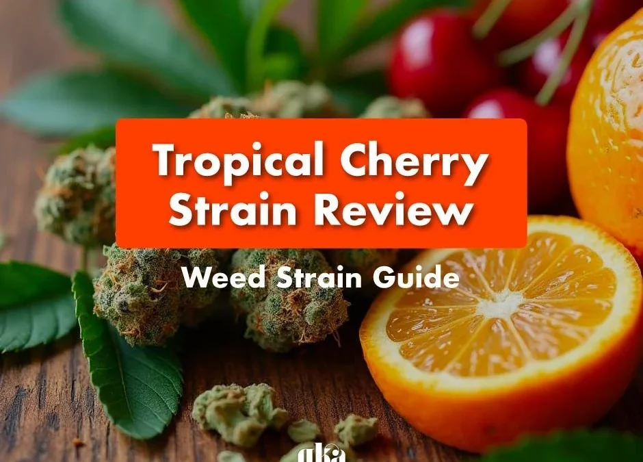 Tropical Cherry Strain Review: Your Complete Weed Strain Guide from Canna Center Dispensary