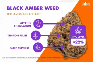 Black Amber Strain Review: Complete Cannabis Cultivar Guide