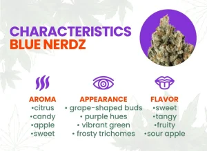 Blue Nerdz Strain Review | Blue Nerdz Weed Strain
