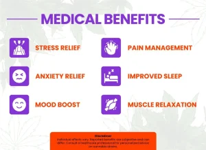 Bubba Fett Strain Review | Bubba Fett Weed Strain