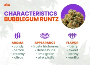 Bubblegum Runtz Strain Review | Bubblegum Runtz Weed Strain
