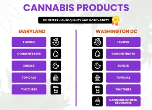 The Ultimate Beginner's Guide to Buying Weed in Maryland