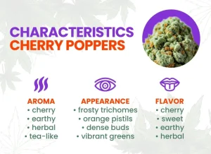 Cherry Poppers Strain Review | Cherry Poppers Weed Strain