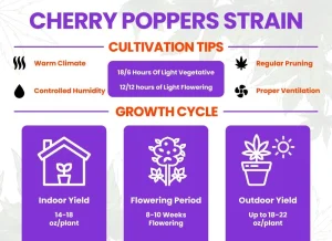 Cherry Poppers Weed Strain