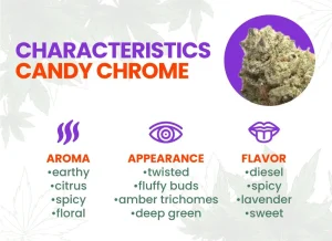 Candy Chrome Strain Review | Candy Chrome Weed Strain