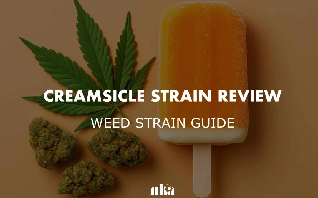 Creamsicle Strain Review: Comprehensive Weed Strain Guide