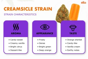 Creamsicle Strain Review: Comprehensive Weed Strain Guide