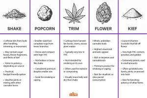 What is Shake Weed? Cannabis Shake Explained by Canna Center Dispensary