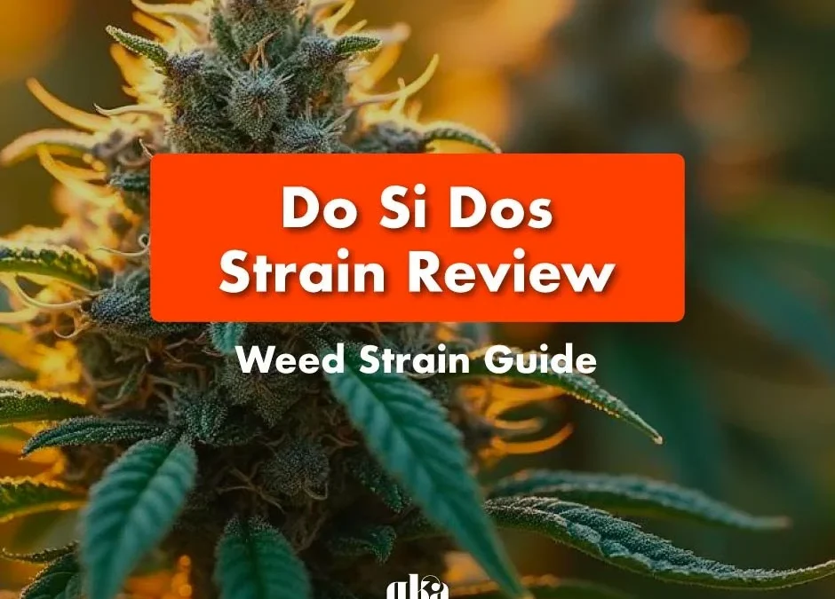 Do Si Dos Strain Review: Comprehensive Cannabis Strain Guide