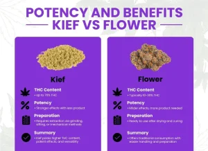 What Is Kief? Comprehensive Beginner's Guide