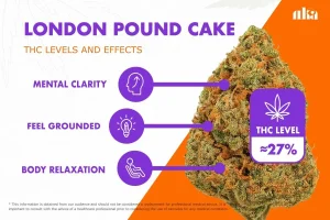 London Pound Cake Strain Review: Your Complete Cannabis Guide