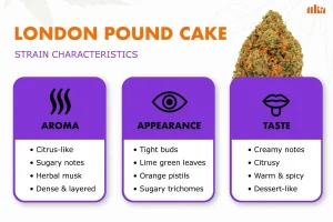 London Pound Cake Strain Review: Your Complete Cannabis Guide
