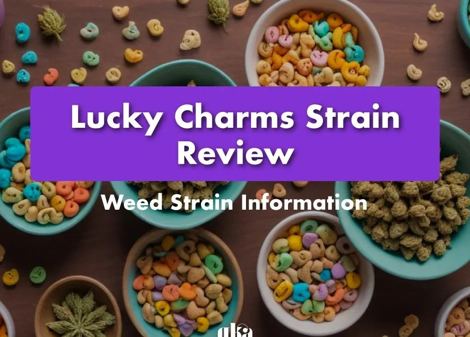 Lucky Charms Strain Review: Comprehensive Weed Strain Information