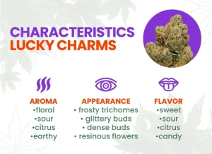 Lucky Charms Strain Review | Lucky Charms Weed Strain