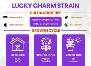 Lucky Charms Strain Review: Comprehensive Weed Strain Information