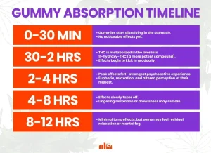 Cannabis Gummies 101: Your Complete Comprehensive Guide