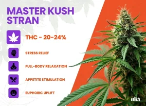 Master Kush Strain Review: Comprehensive Cannabis Guide