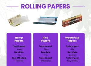 Understanding Pre-Rolls: Comprehensive Beginner's Guide to Pre-Rolled Cannabis Joints